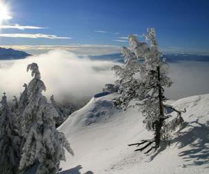 yapboz Poiana Brasov, Romanya Karlı dağlar